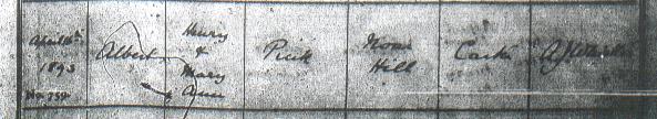 Albert Pink's baptism certificate