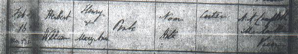 Herbert William Pink's baptism certificate